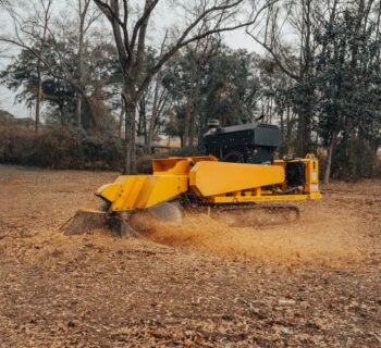 Stump-Grinding-Service